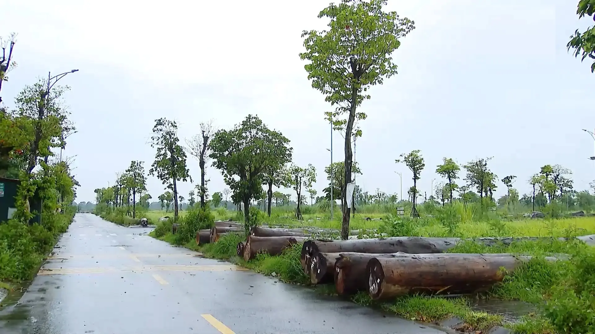 Chủ động tái định cư để đẩy nhanh giải phóng mặt bằng | Chuyện đô thị | 02/08/2025